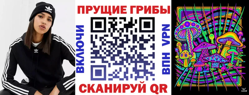 Галлюциногенные грибы Magic Shrooms  Купить  Егорьевск 